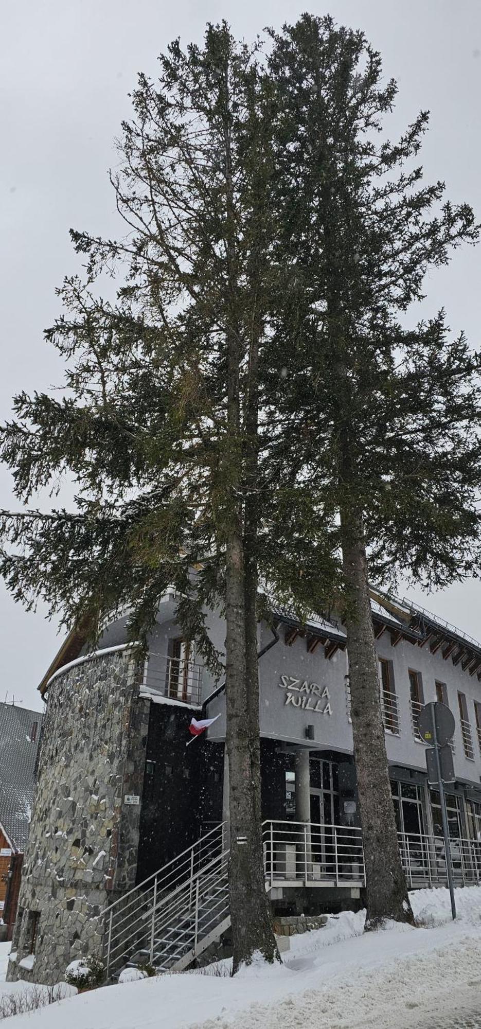 Szara Willa Tuz Przy Wyciagu Na Szrenice Schreiberhau Exterior foto